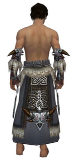 Dervish Norn armor m gray back arms legs.png
