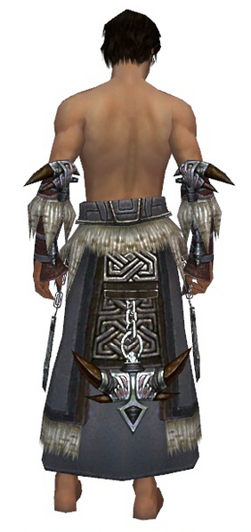 File:Dervish Norn armor m gray back arms legs.png