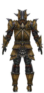 Warrior Wyvern armor m dyed back.jpg