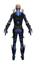 Assassin Elite Canthan armor m dyed back.jpg