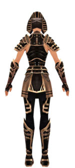 Warrior Ancient armor f dyed back.jpg