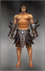 Warrior Monument armor m gray front arms legs.jpg