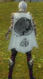 Guild Stewards Of The Ancient Rites cape.jpg