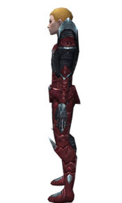 Necromancer Profane armor m dyed left.jpg
