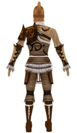 Ranger Canthan armor m dyed back.jpg