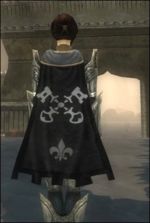 Guild-Your Lucky Charm cape.jpg