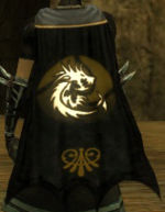 Guild Project Shadow Network cape.jpg