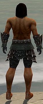 Warrior Elite Dragon armor m gray back arms legs.jpg