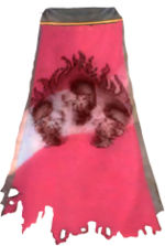 Guild The Naked Cavaliers cape.jpg