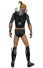 Assassin Elite Canthan armor m gray back chest feet.png