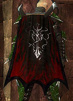 Guild The Last Of The Dark Order cape.jpg