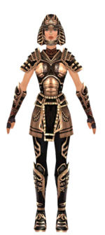 Warrior Ancient armor f dyed front.jpg