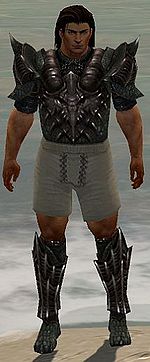 Warrior Elite Dragon armor m gray front chest feet.jpg