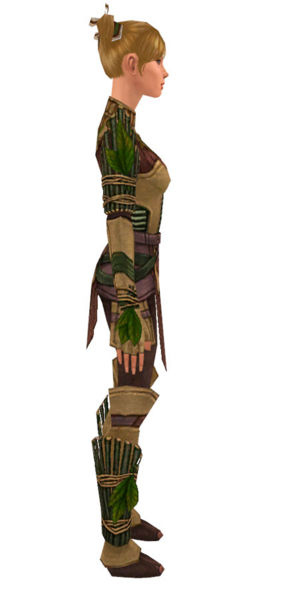 File:Ranger Druid armor f dyed right.jpg