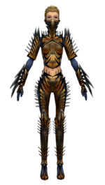 Guild Wars Assassin Armor on Gallery Of Female Assassin Elite Exotic Armor   Guild Wars Wiki  Gww