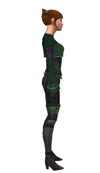 File:Mesmer Elite Rogue armor f dyed right.jpg