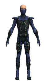 Guild Wars Assassin Armor on Gallery Of Male Assassin Seitung Armor   Guild Wars Wiki  Gww