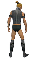 Assassin Canthan armor m gray back chest feet.png