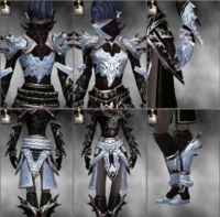 Screenshot Necromancer Asuran armor f dyed White.jpg