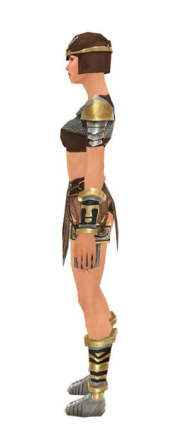 File:Warrior Gladiator armor f dyed left.jpg