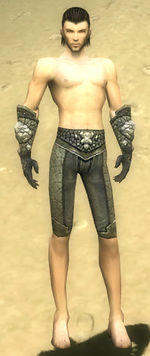 Elementalist Elite Stoneforged armor m gray front arms legs.jpg