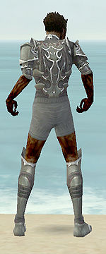 Necromancer Tyrian armor m gray back chest feet.jpg
