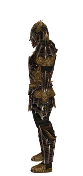 File:Warrior Elite Dragon armor m dyed left.jpg