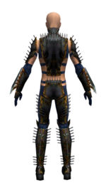 Assassin Exotic armor m dyed back.jpg