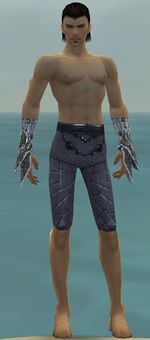 Elementalist Elite Iceforged armor m gray front arms legs.jpg