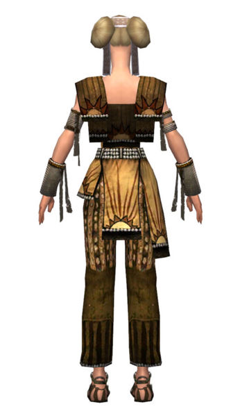 File:Monk Sunspear armor f dyed back.jpg