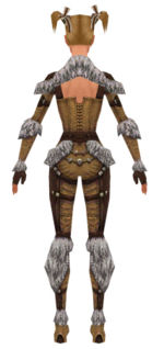 Ranger Elite Fur-Lined armor f dyed back.jpg