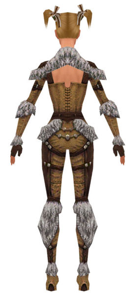 File:Ranger Elite Fur-Lined armor f dyed back.jpg