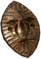 Copperleaf Shield