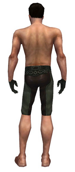 File:Mesmer Istani armor m gray back arms legs.png