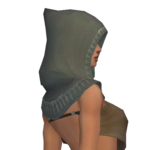Dervish Sunspear Hood f gray right.png