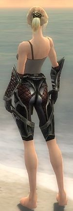 Warrior Elite Kurzick armor f gray back arms legs.jpg
