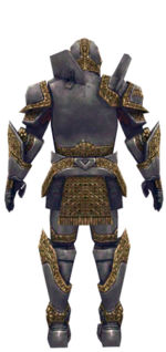 Warrior Platemail armor m dyed back.jpg