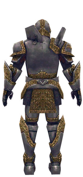 File:Warrior Platemail armor m dyed back.jpg