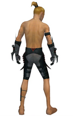 Assassin Elite Canthan armor m gray back arms legs.png