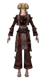 Monk Primeval armor f dyed back.jpg
