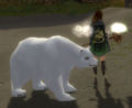 Polar bear pet
