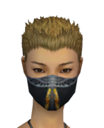 Assassin Exotic Mask f gray front.png