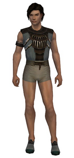 Dervish Primeval armor m gray front chest feet.png