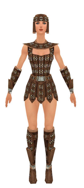 File:Warrior Ascalon armor f dyed front.jpg
