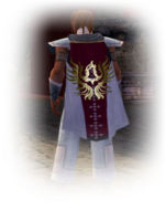 Guild Order Of Celestial Guardians cape.jpg