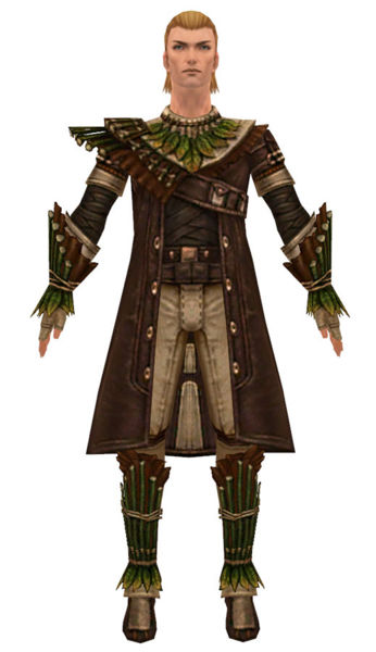 File:Ranger Druid armor m dyed front.jpg