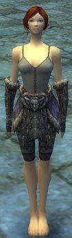 Warrior Charr Hide armor f gray front arms legs.jpg