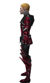 Necromancer Fanatic armor m dyed left.jpg