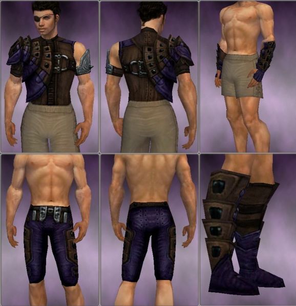 File:Ranger Obsidian armor m purple overview.jpg