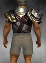 Warrior Heavy Breastplate armor m gray back.jpg